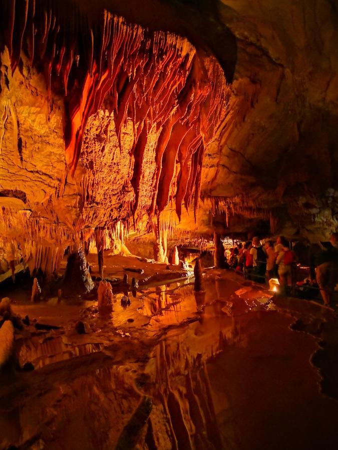 Magnifique Gite En Pierres 6 Personnes Avec Piscine Privee Ardeche Plein Sud Lablachère 外观 照片